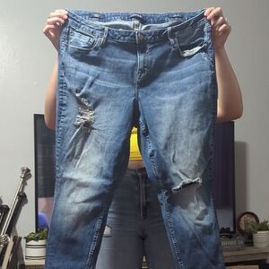 Vigoss Women's Boyfriend Jeans in Distressed Blue